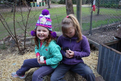 Fernleigh Farmstay & Bike Park - Rental Cars 3