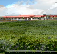 Turners Vineyard Motel and Function Centre - Rental Cars