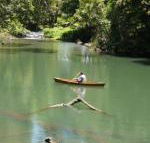 Figtree Getaway - Rental Cars