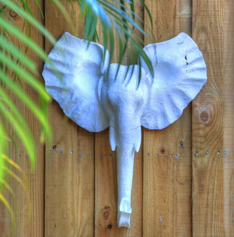 Deja Vu Palm Cove Private Heated Pool - Rental Cars 0