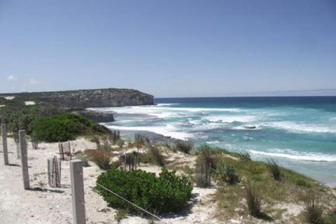 Cooinda Holiday Village - Rental Cars 4