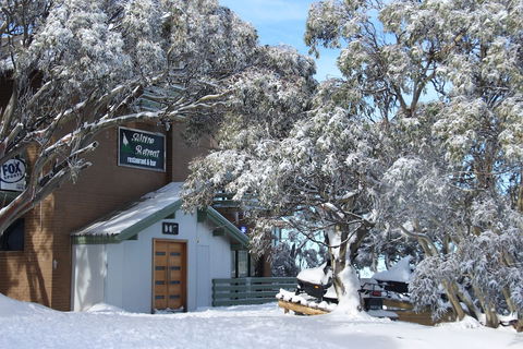 Alpine Retreat Mt Buller - Rental Cars 1