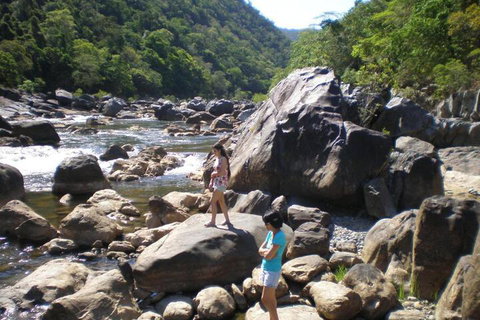 Daintree Village Hideaway - Rental Cars 4
