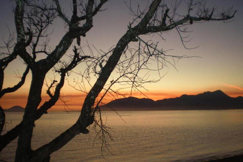 Daintree Village Hideaway - Rental Cars 3