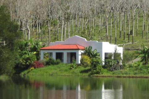 Spicy Oasis - Rental Cars 5