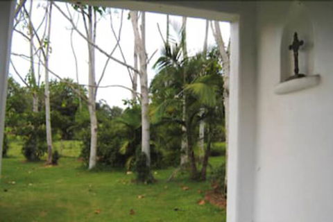 Spicy Oasis - Rental Cars 3