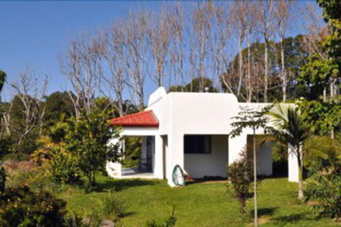 Spicy Oasis - Rental Cars 2