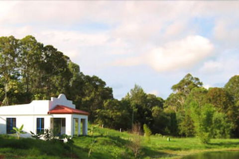 Spicy Oasis - Rental Cars 6