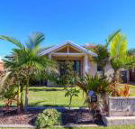 Surfside - Rental Cars