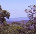 Ravensbourne Escape Cedar Lodge - Rental Cars