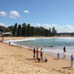 Avoca Beach Cape Cottage - Rental Cars 1