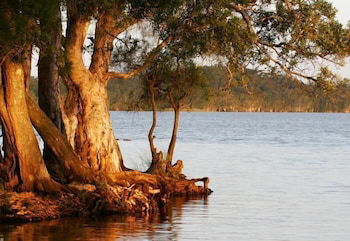 NRMA Myall Shores Holiday Park - Rental Cars 2