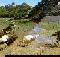 Country Cottages of Bridgetown - Rental Cars