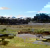 Pelican Point Sanctuary - Rental Cars