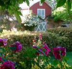 A Country Barn Retreat - Rental Cars