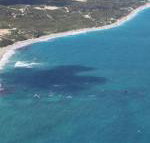 Eden Beach Holiday Getaway - Rental Cars