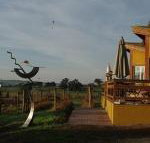 Art at Linden Gate - Rental Cars