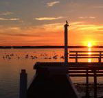 Bayview Boathouse - Rental Cars