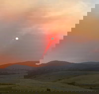 Snowy Mountains Resort and Function Centre - Rental Cars