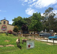 Sherwood Park Orchard Bakery Cafe - Rental Cars