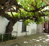 The Vine - Rental Cars
