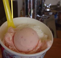 Bermagui Gelati Clinic - Rental Cars