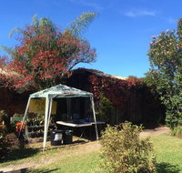 Tutti Fruitti - Rental Cars