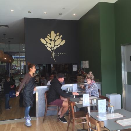 G Tree Cafe - Rental Cars 0