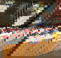 The Pines Orchard - Rental Cars