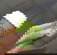 Bean 2 Taste - Rental Cars