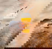 Little Caesars - Darlinghurst - Darlinghurst - Rental Cars