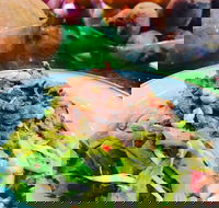 Salad Bar - Surry Hills - Rental Cars