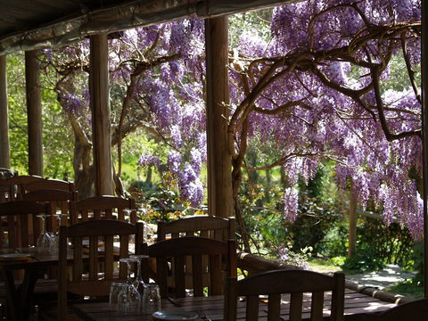 Skillogalee Winery & Restaurant - Rental Cars 2