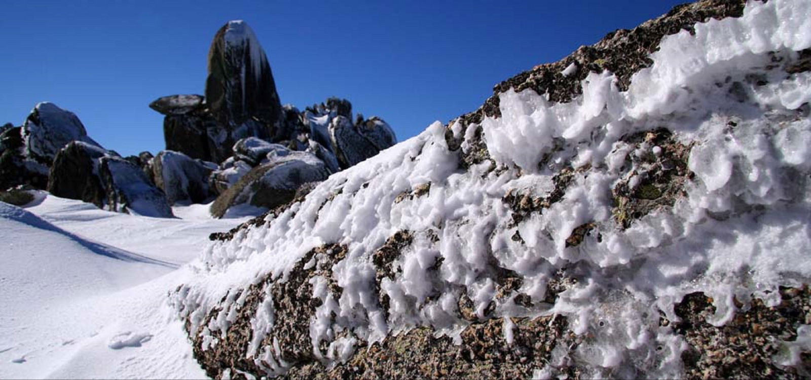 Ingebirah NSW Rental Cars