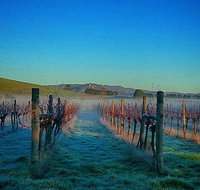 Eastern Peake Winery - Rental Cars