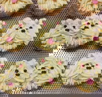 Cupcake Central - Maribyrnong - Rental Cars