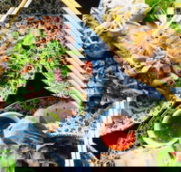 Little Peddler - Rental Cars