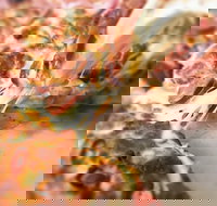 Pizza Rustica - Rental Cars