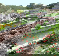 The Farmer's Place - Rental Cars