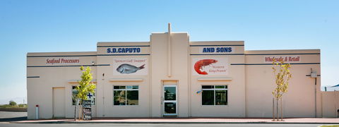 S.D. Caputo And Sons - Rental Cars 1