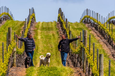Tim Adams Wines - Rental Cars 2