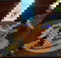 Cocina Mexican Grill and Cantina - Rental Cars