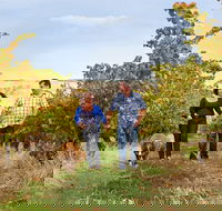 WayWood Wines - Rental Cars