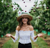 Cherryhill Orchards - Rental Cars