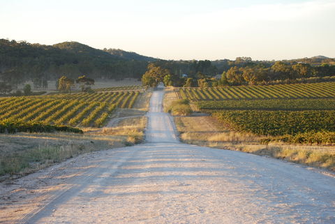 Stone Bridge Wines - Rental Cars 0