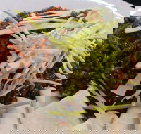 Rising Sun Hotel - Rental Cars