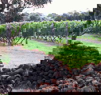Spring Vale Vineyard - Rental Cars
