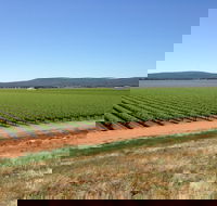 Melange Wines - Rental Cars