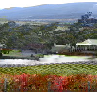 Milton Vineyard - Rental Cars