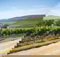 Jansz Tasmania - Rental Cars